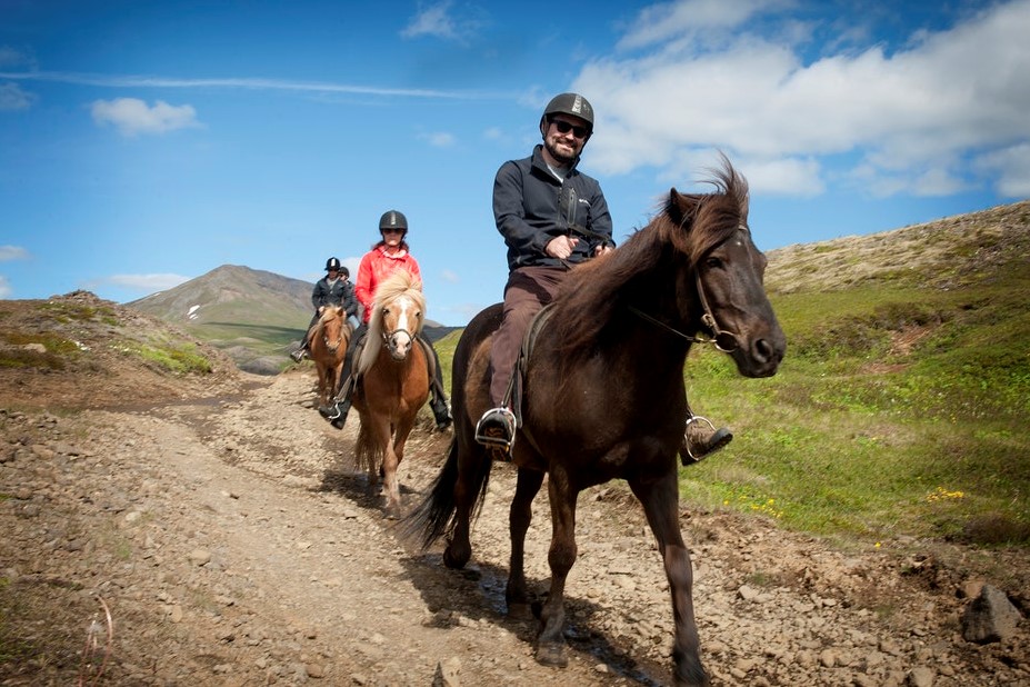 Exkurze na islandských koních