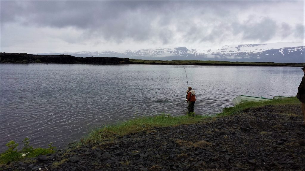 rybaření v řece na Islandu